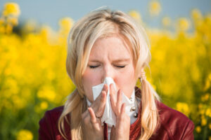 Allergien