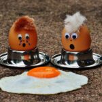 „An egg a day keeps the doctor away“ – Ein Ei am Tag hält den Doktor fern